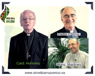 Papa nomeia o cardeal Cláudio Hummes relator geral do Sínodo Pan-Amazônico Papa nomeia o cardeal Cláudio Hummes relator geral do Sínodo Pan-Amazônico